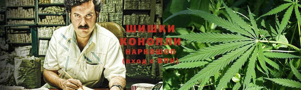 шишки Балабаново
