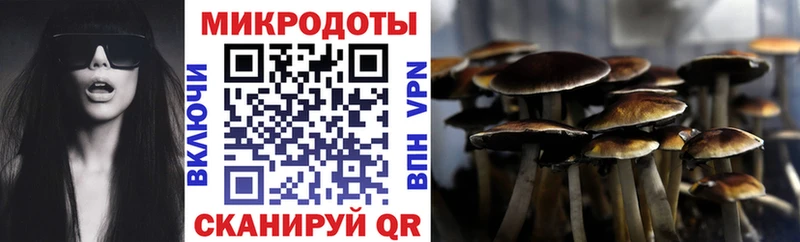 как найти закладки  Минеральные Воды  Галлюциногенные грибы GOLDEN TEACHER 